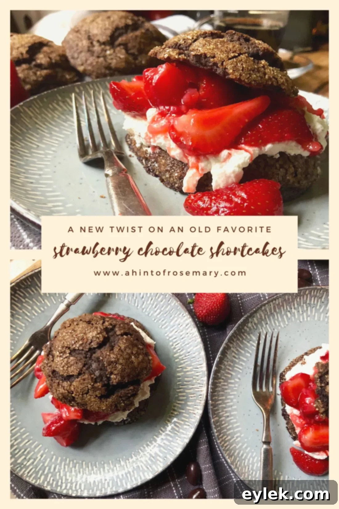 Beautifully assembled strawberry chocolate shortcakes