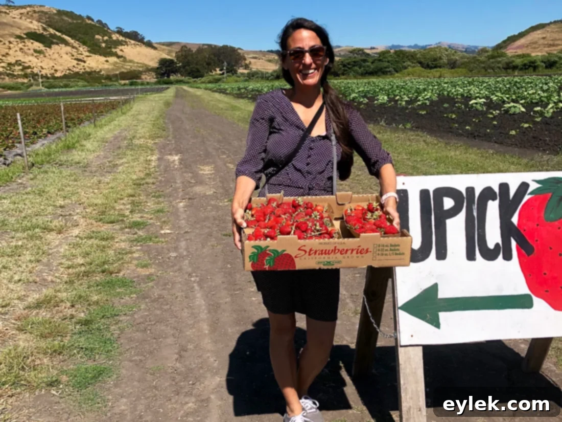 Family members picking strawberries at a farm