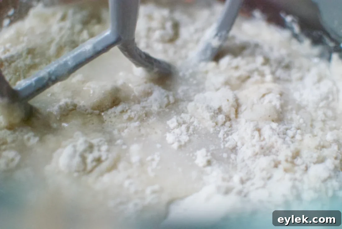 the best-ever gluten-free focaccia bread