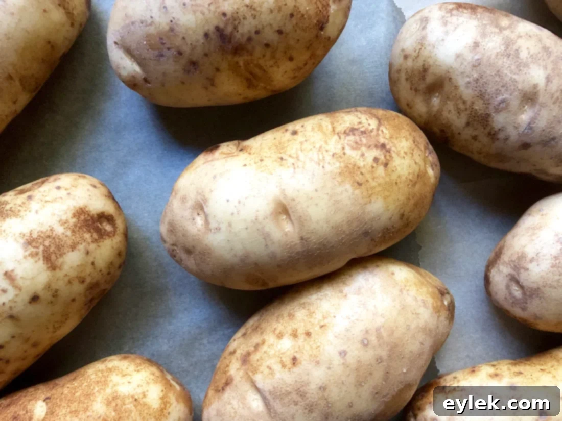 cheesy twice-baked stuffed potatoes