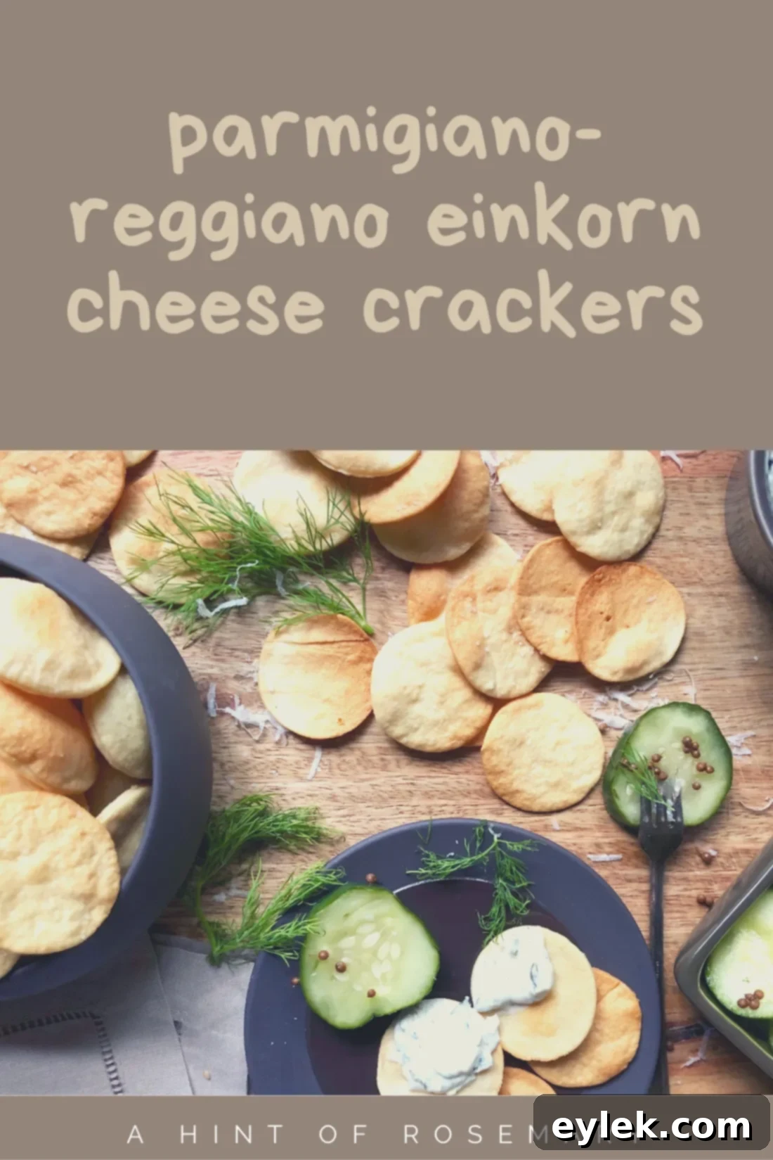 A beautiful vertical shot of golden Parmigiano-Reggiano Einkorn Cheese Crackers