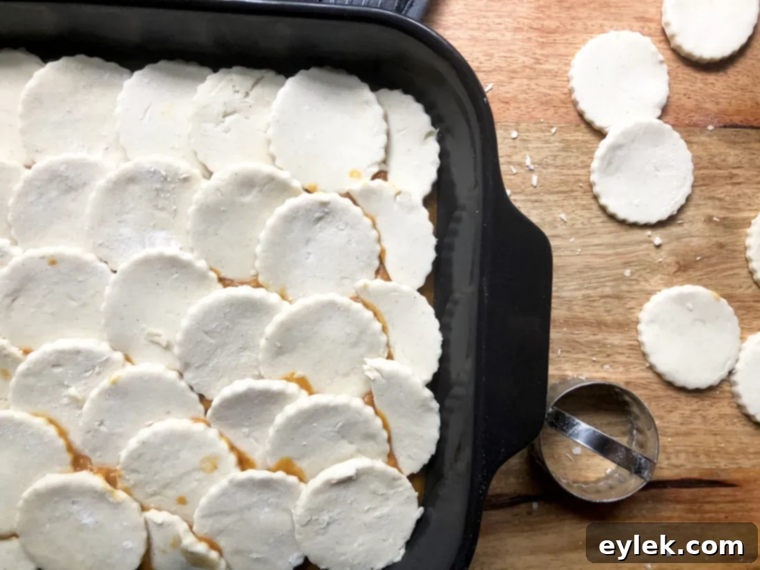 scalloped-edge pie crust discs on pumpkin cobbler