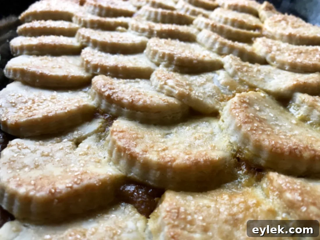 warm gluten-free pumpkin pie cobbler with whipped cream