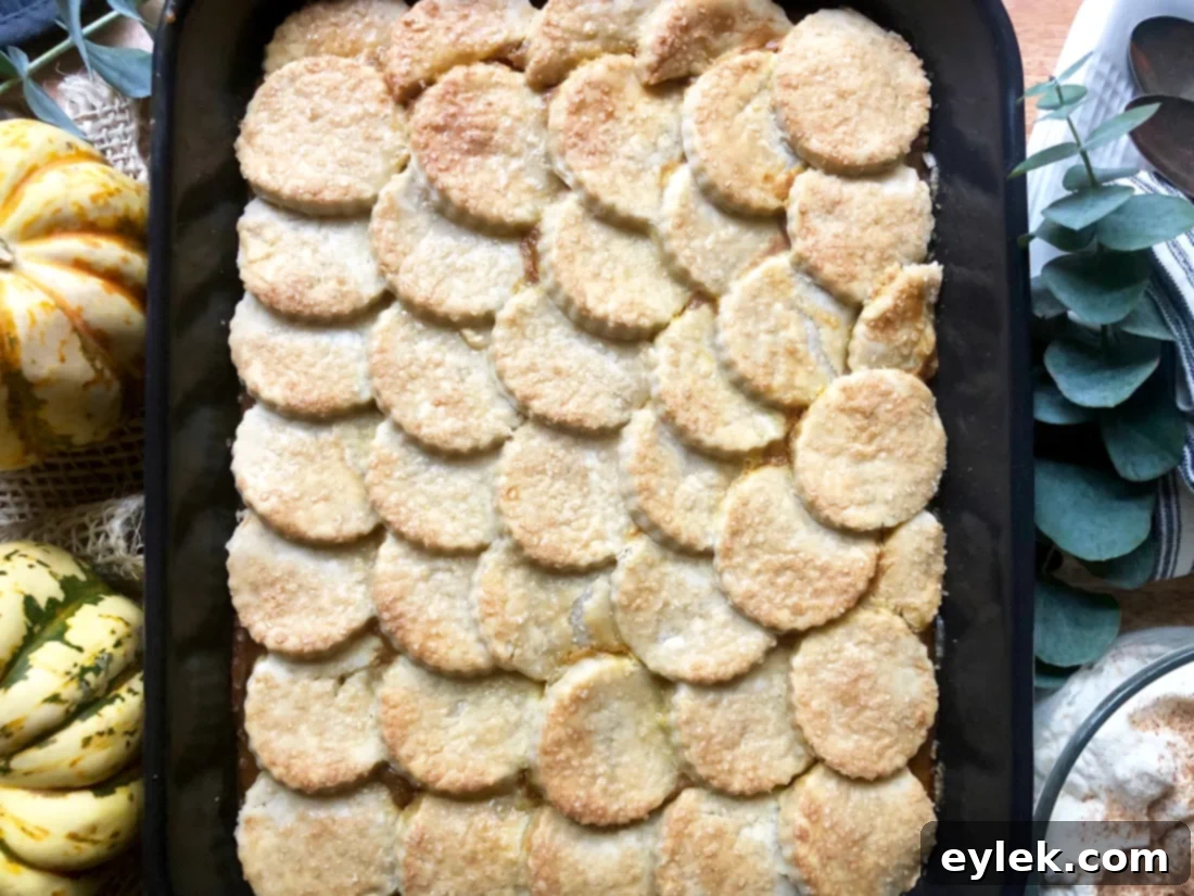 close-up of gluten-free pumpkin pie cobbler texture