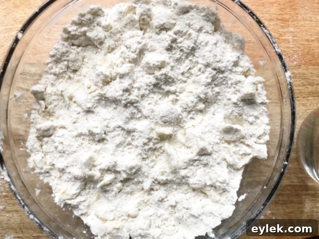gluten-free pie crust dough forming
