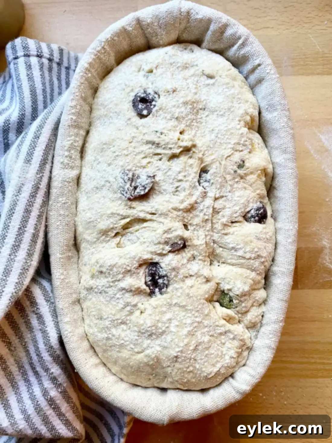 Zesty Olive Thyme Loaf 17 Dough in proofing basket for second rise