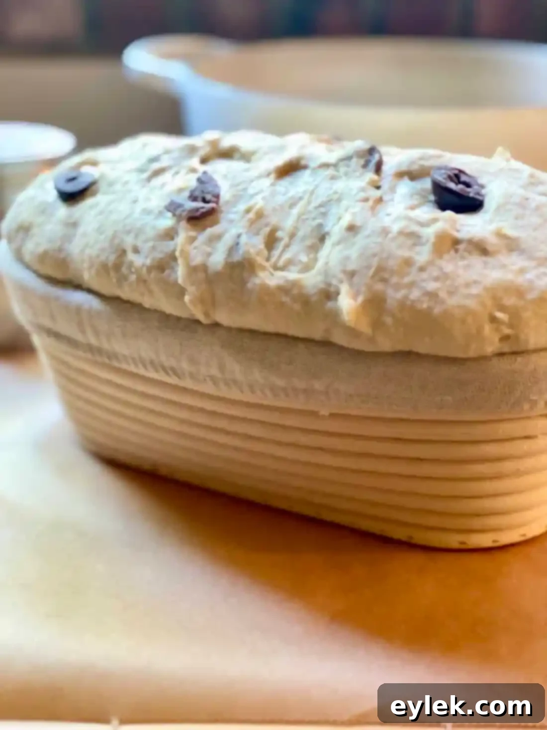 Zesty Olive Thyme Loaf 18 Parchment paper over proofed dough