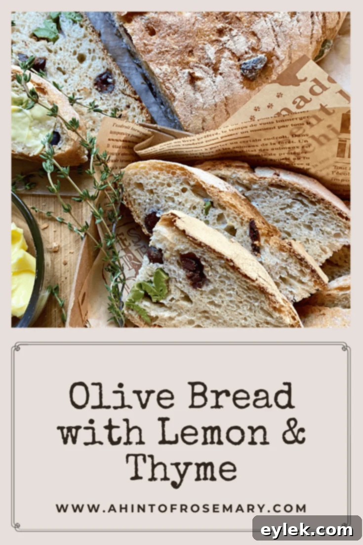 Zesty Olive Thyme Loaf 29 Flavorful Olive Bread with Lemon & Thyme, an irresistible homemade loaf with unexpected bursts of flavor, loaded with chopped olives, lemon zest, woodsy notes of thyme, and parmesan cheese.