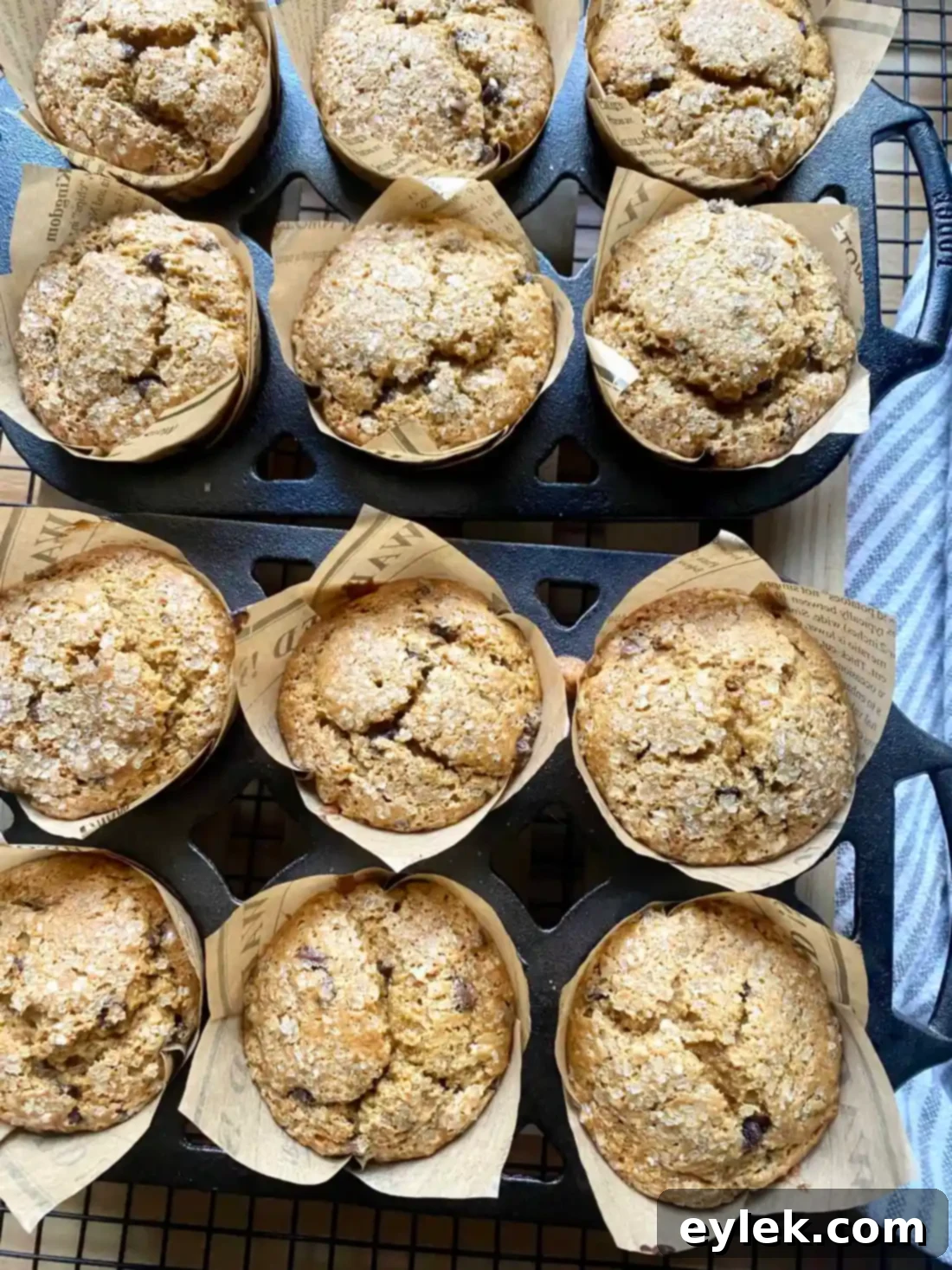 Pumpkin Banana Muffins with Freshly Milled Flour Pumpkin Banana Muffins with a Wholesome Flour Boost 19 Fresh Milled Flour Pumpkin Banana Muffins