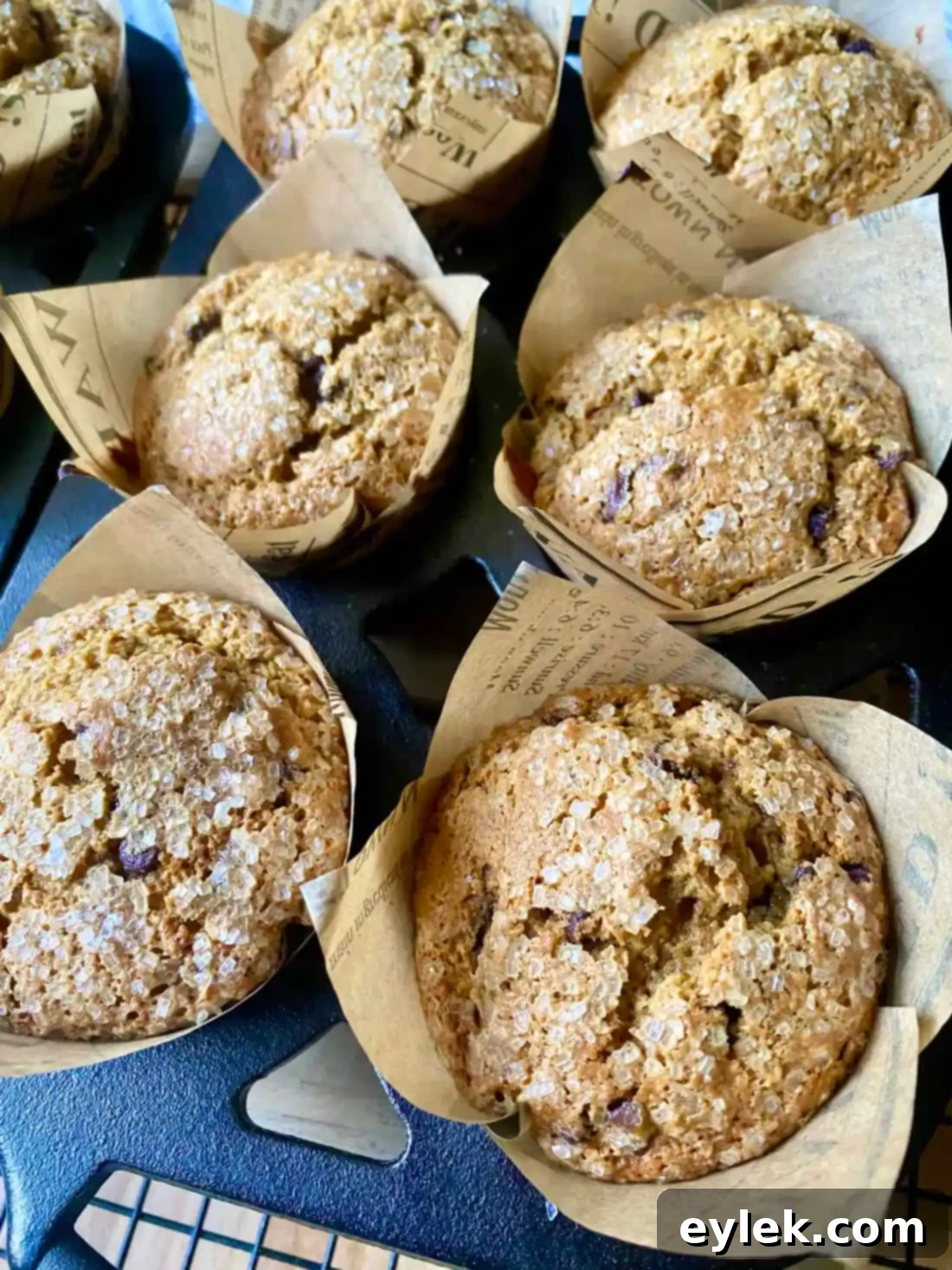 Pumpkin Banana Muffins with Freshly Milled Flour Pumpkin Banana Muffins with a Wholesome Flour Boost 20 Fresh Milled Flour Pumpkin Banana Muffins