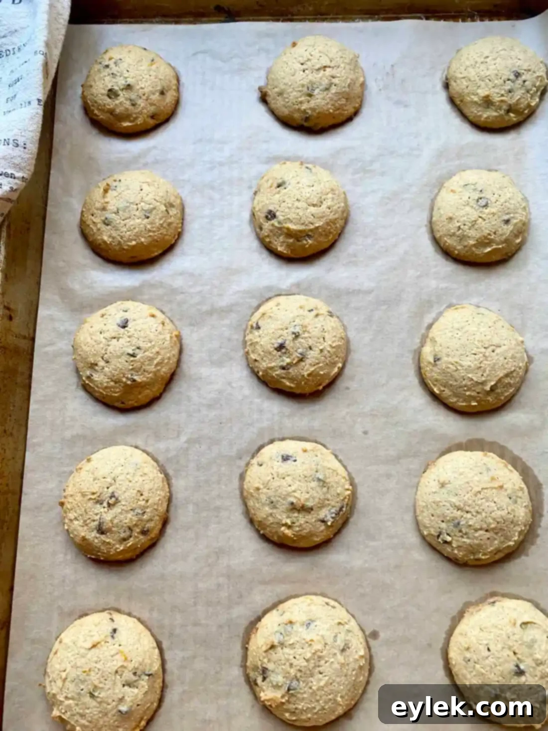 Fresh Milled Flour Ricotta Cannoli Cookies