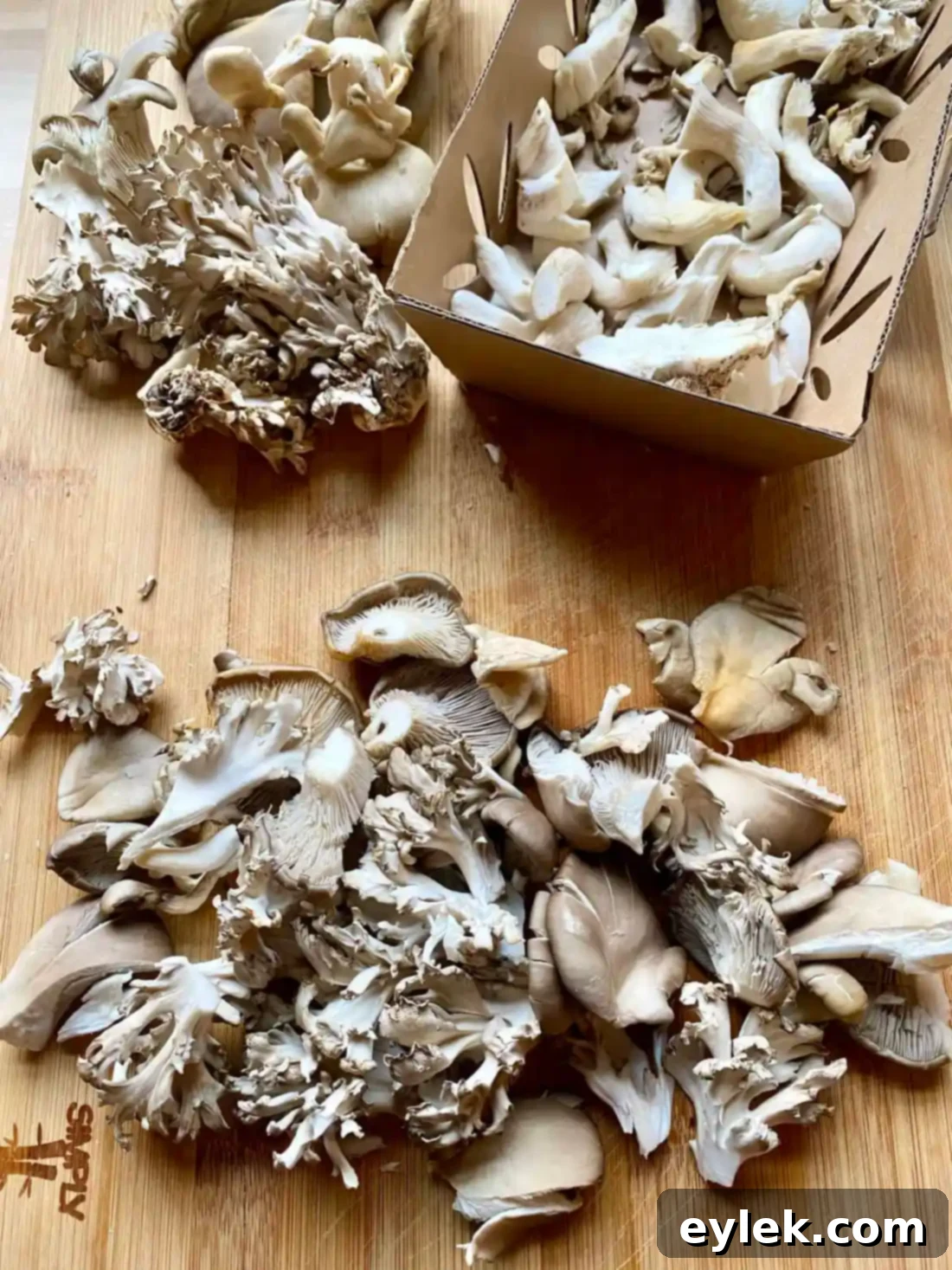 Rich and Flavorful Mushroom Burgundy
Rich & Flavorful Mushroom Bourguignon - A Hearty Vegan Delight 22 Cooking Maitake Mushrooms