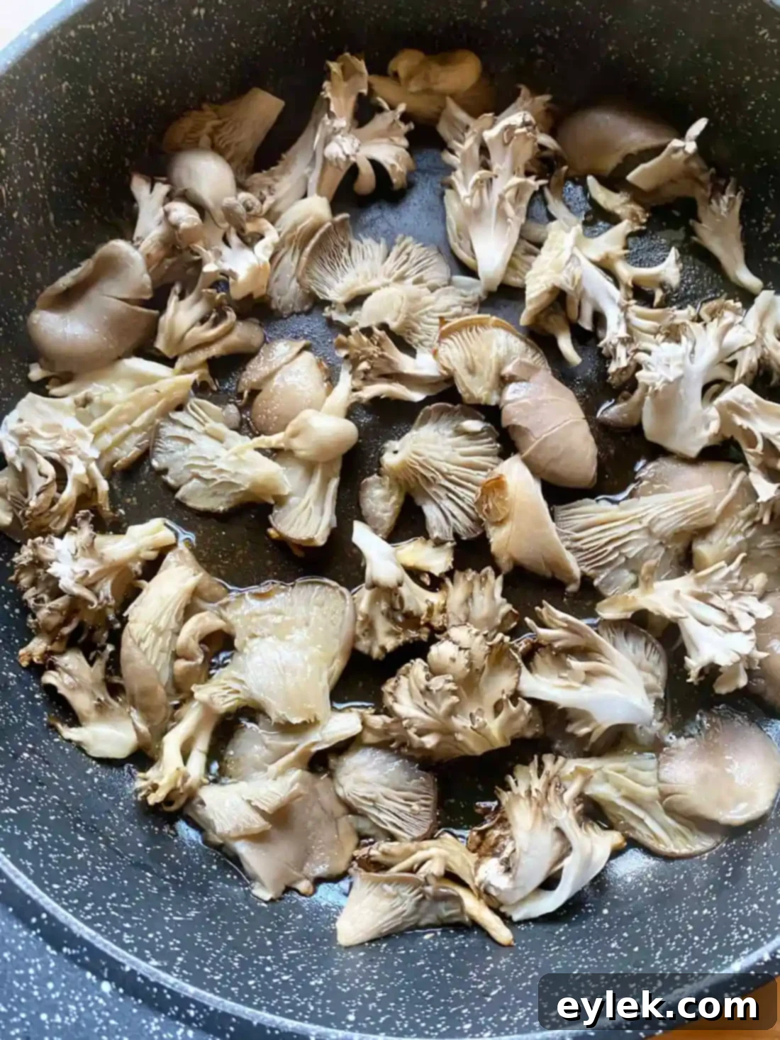 Rich and Flavorful Mushroom Burgundy
Rich & Flavorful Mushroom Bourguignon - A Hearty Vegan Delight 23 Browning Maitake Mushrooms