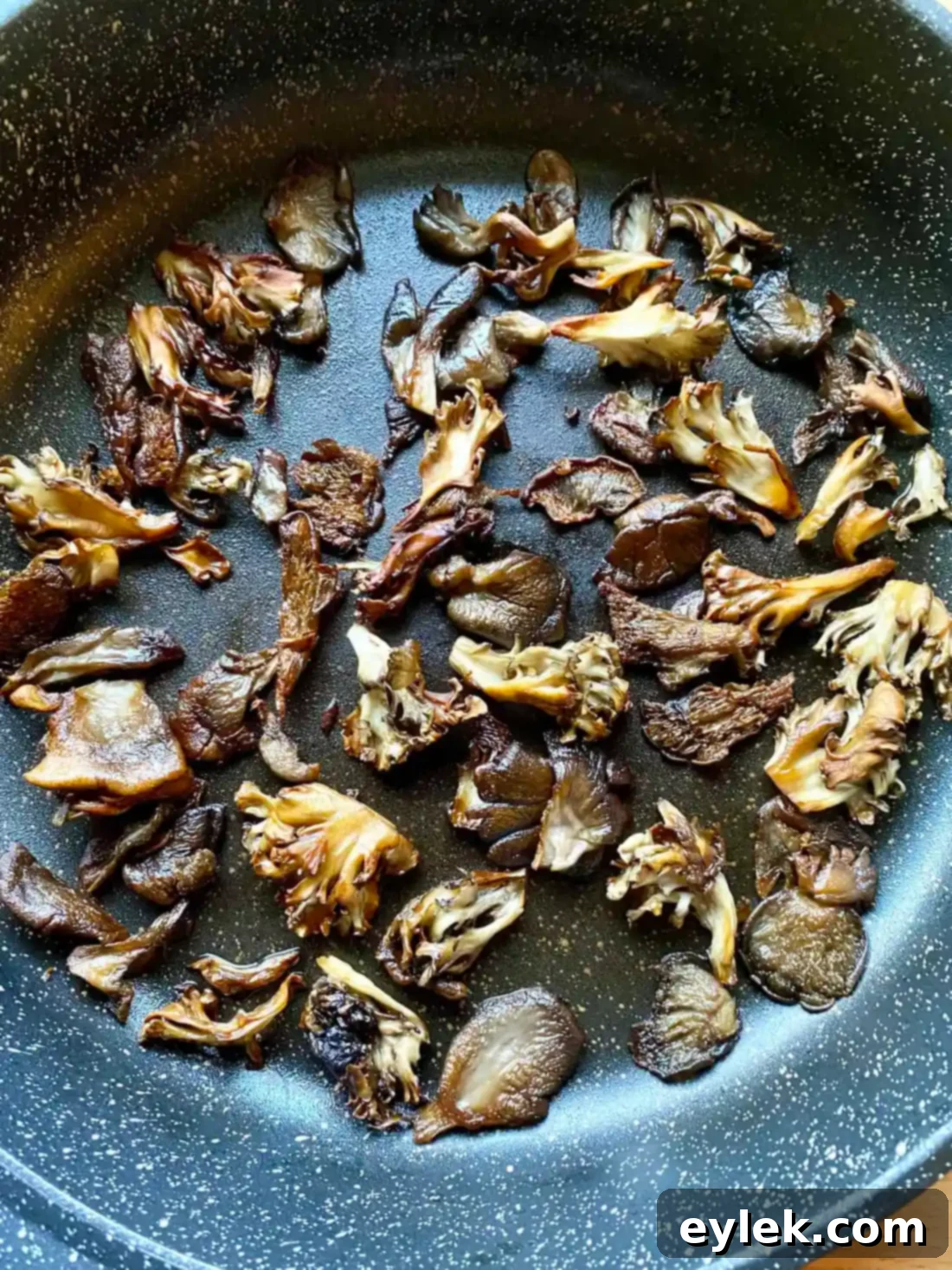 Rich and Flavorful Mushroom Burgundy
Rich & Flavorful Mushroom Bourguignon - A Hearty Vegan Delight 24 Crispy Maitake Mushrooms