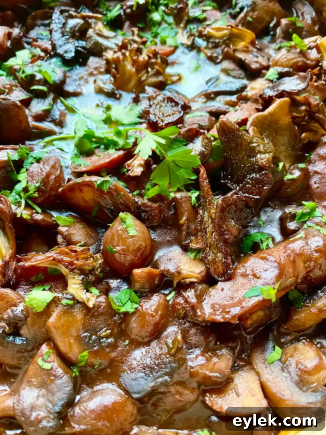Rich and Flavorful Mushroom Burgundy
Rich & Flavorful Mushroom Bourguignon - A Hearty Vegan Delight 26 Serving Suggestion