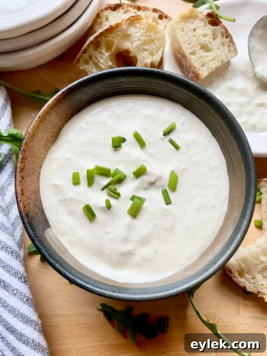 Creamy Horseradish Delight 11 Classic Horseradish Dip & Spread Ready to Serve