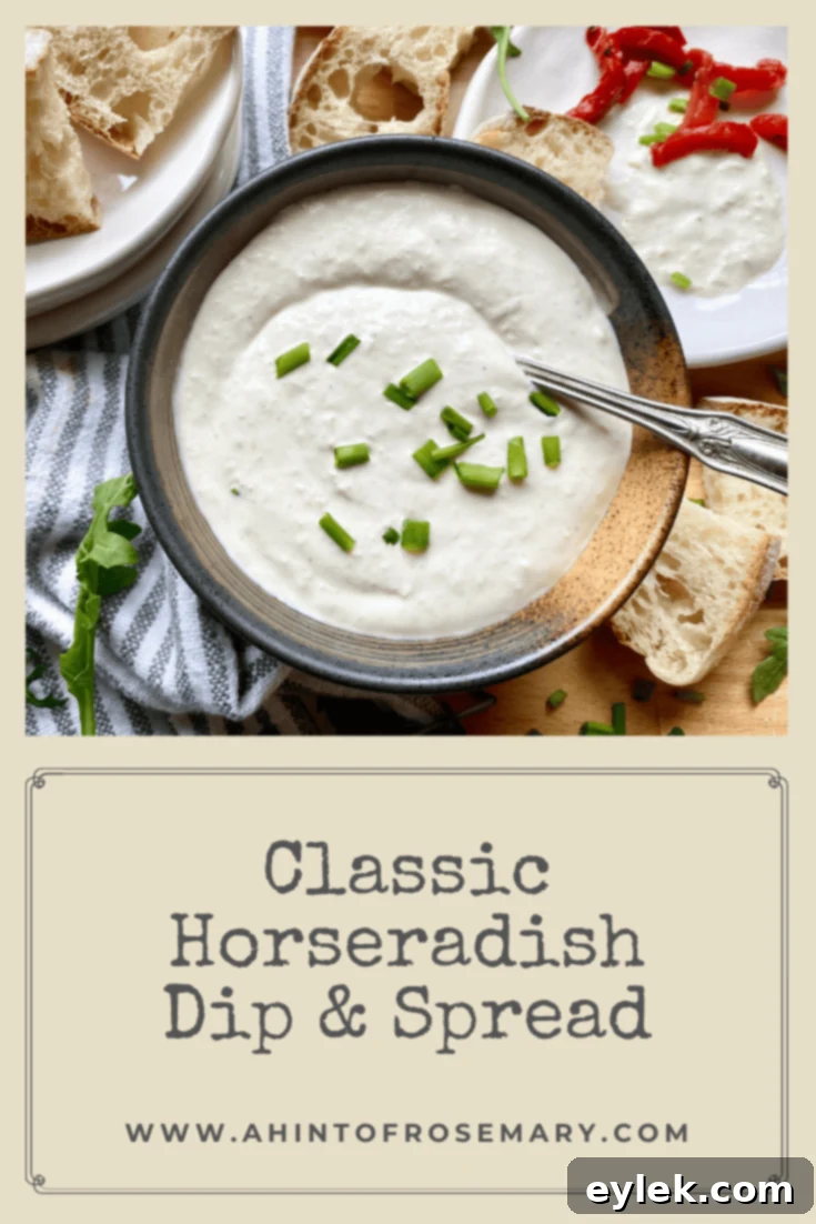 Creamy Horseradish Delight 13 Classic Horseradish Dip & Spread