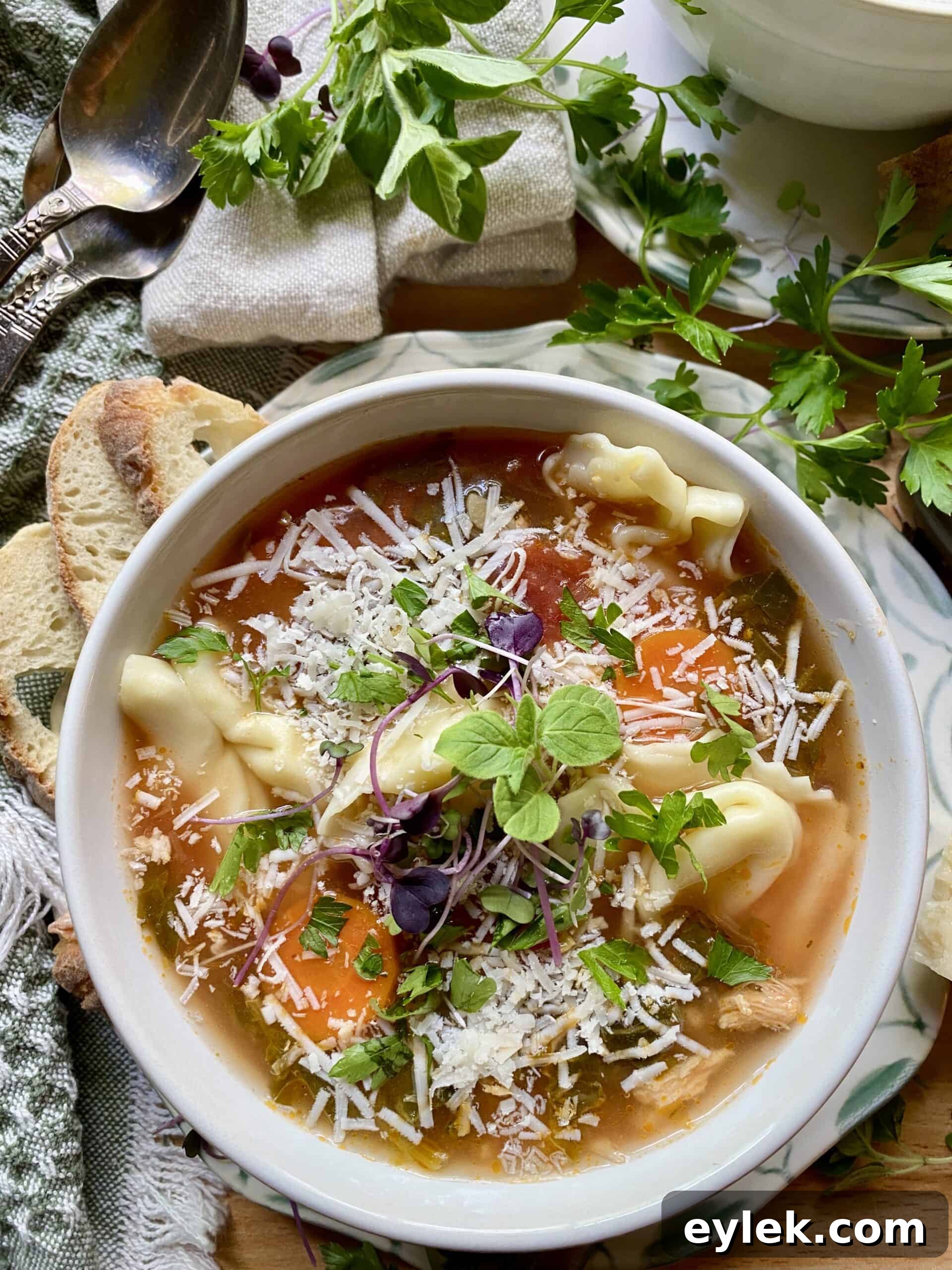 Chicken and Spinach Tortellini Soup Recipe 11 Tortellini Soup with Chicken & Spinach
