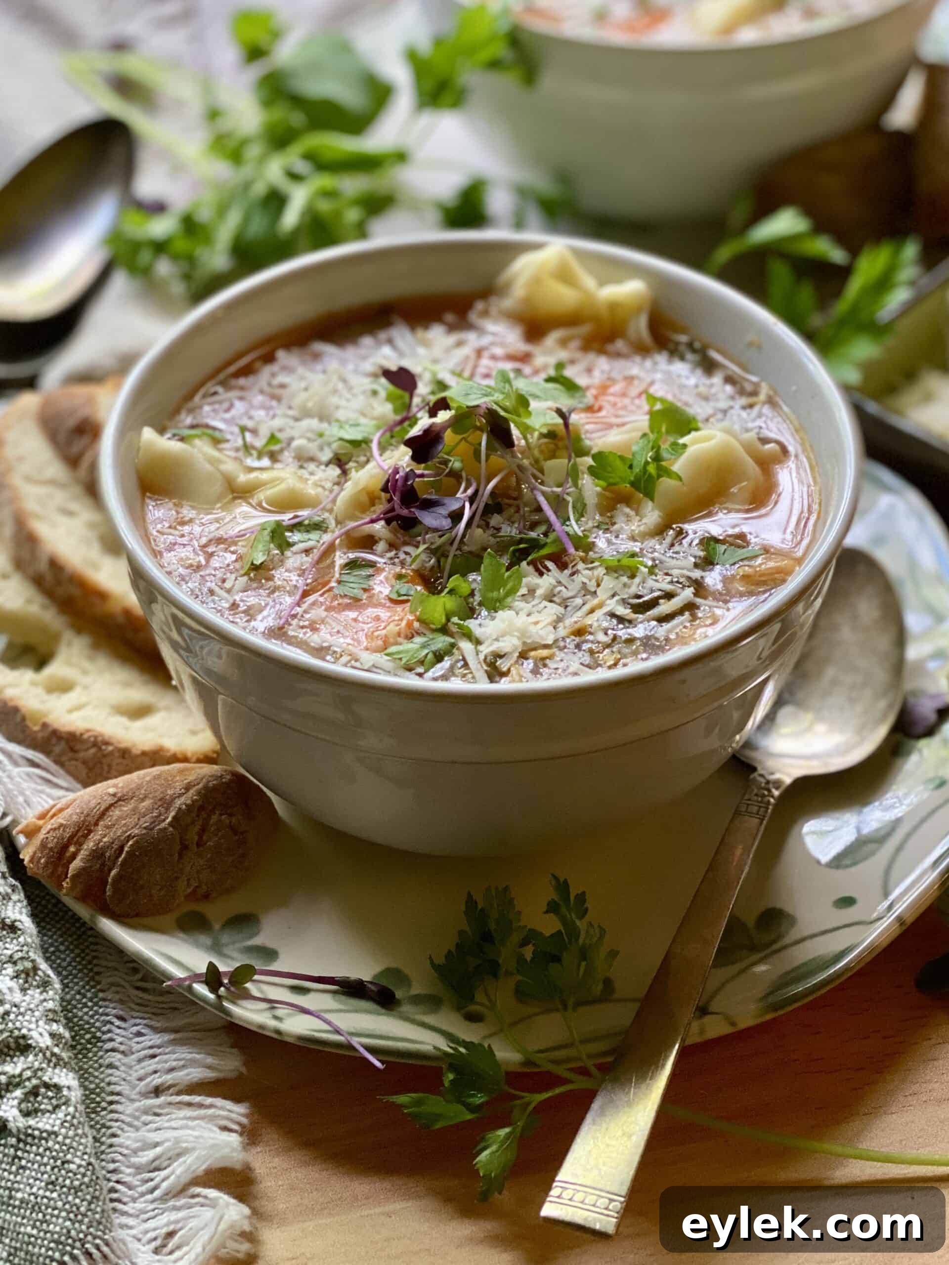 Chicken and Spinach Tortellini Soup Recipe 13 Tortellini Soup with Chicken & Spinach