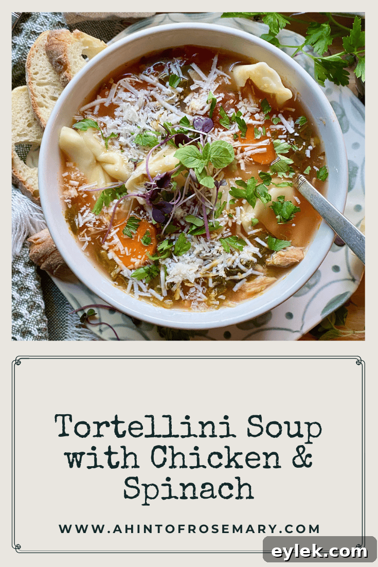 Chicken and Spinach Tortellini Soup Recipe 15 Tortellini Soup with Chicken & Spinach