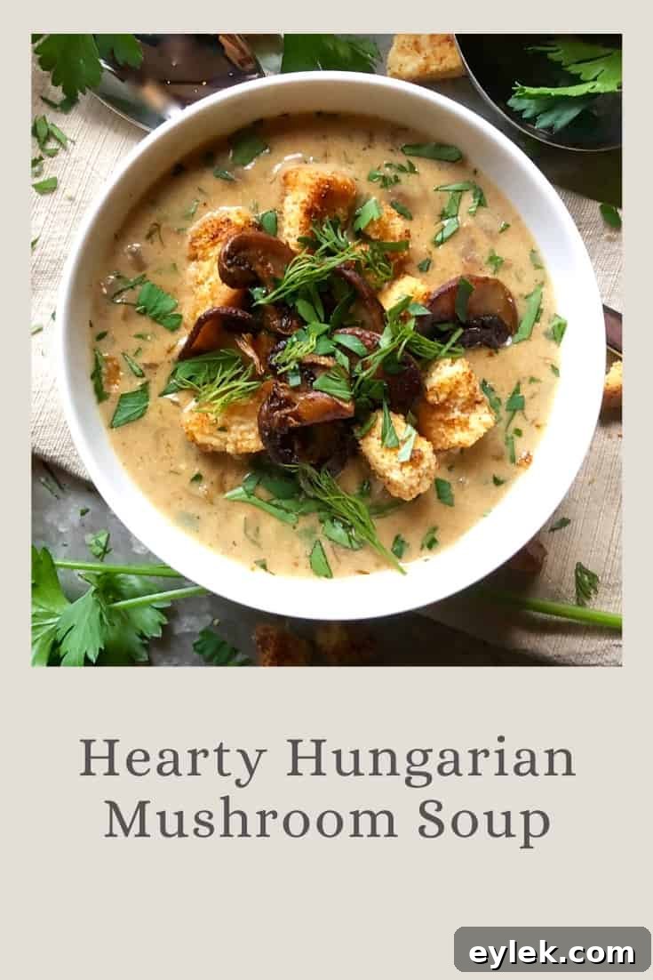 Chicken and Spinach Tortellini Soup Recipe 17 hearty hungarian mushroom soup