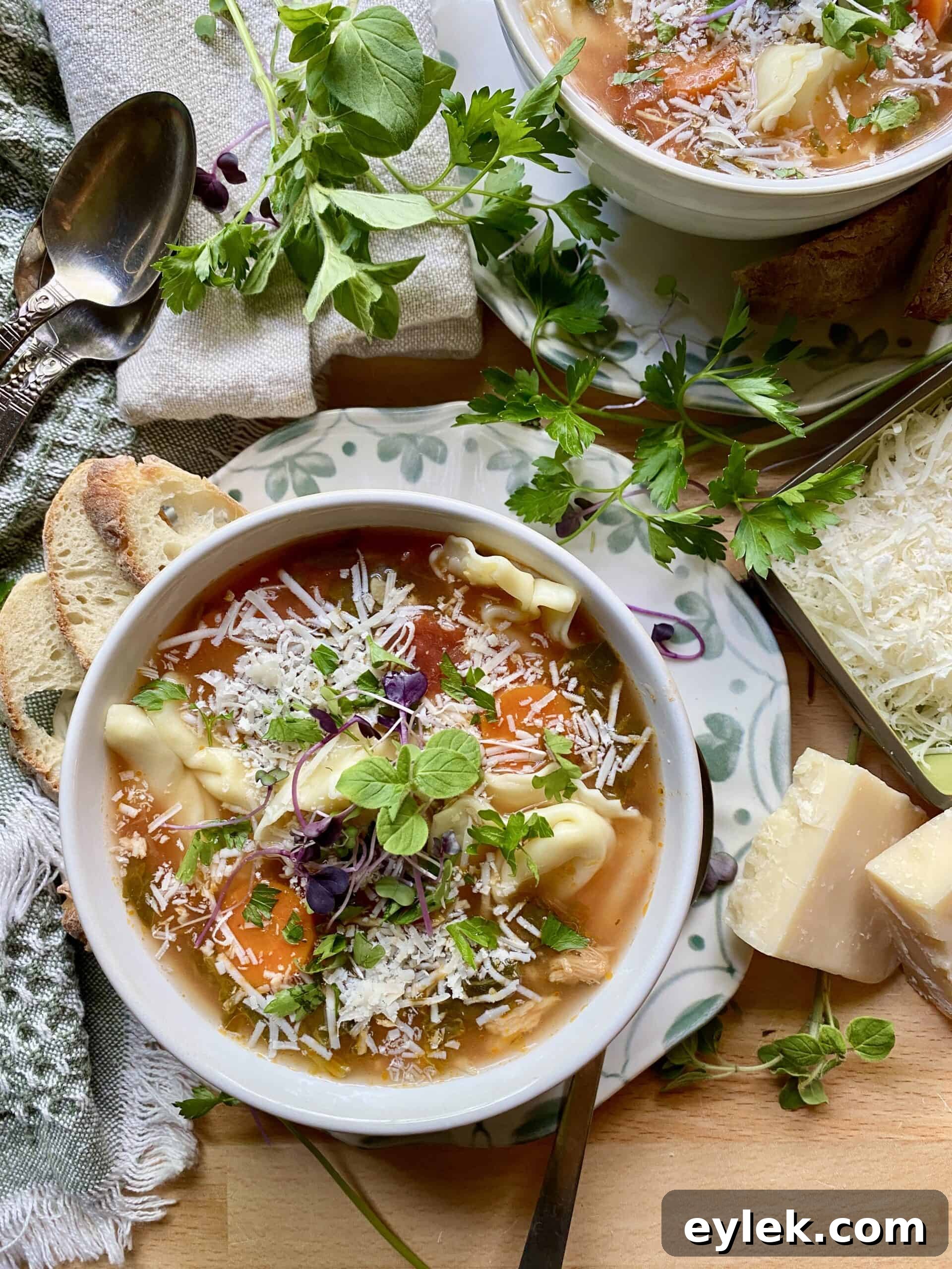 Chicken and Spinach Tortellini Soup Recipe 10 Tortellini Soup with Chicken & Spinach