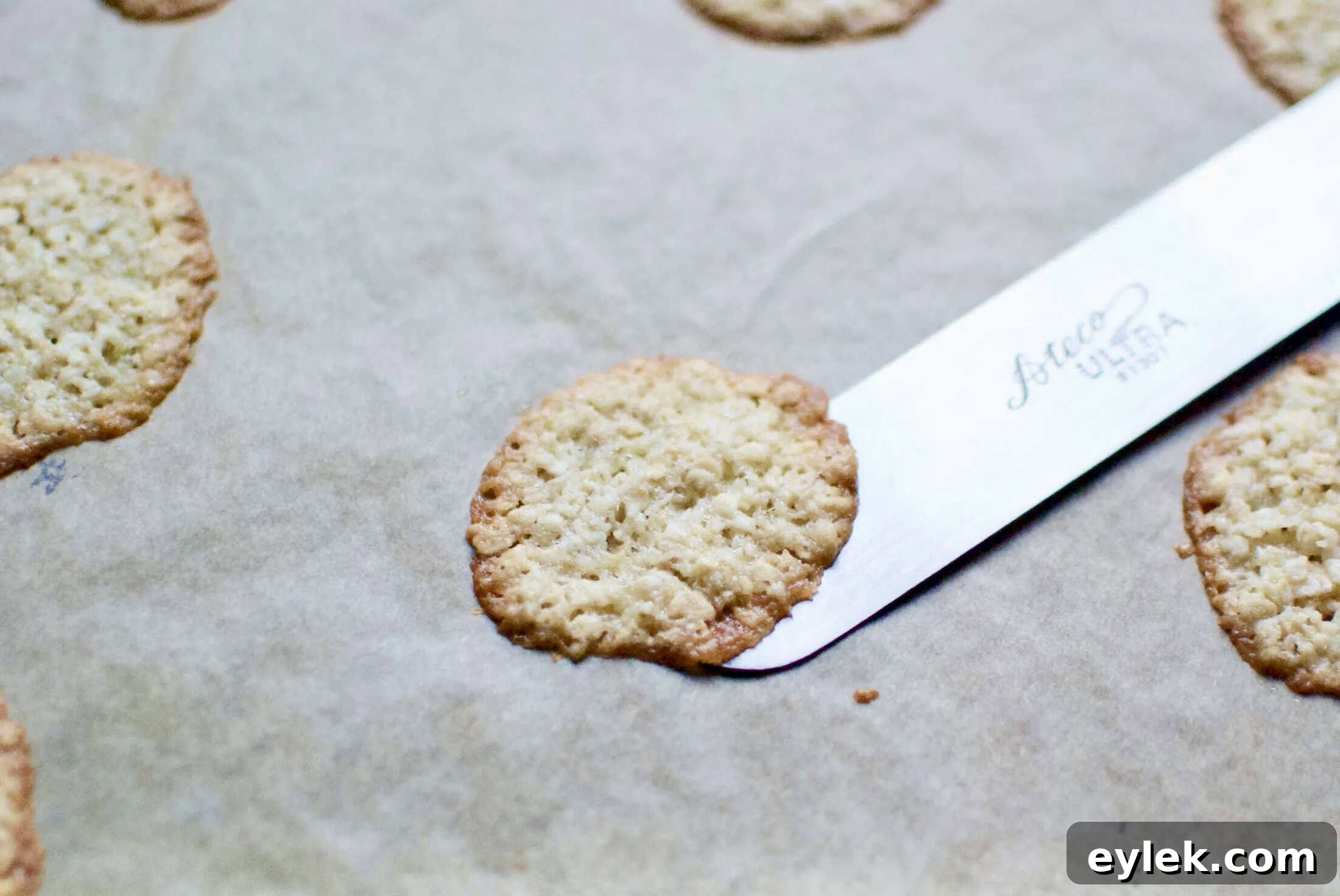 Lacy Cookie Chips with Chocolate Dip