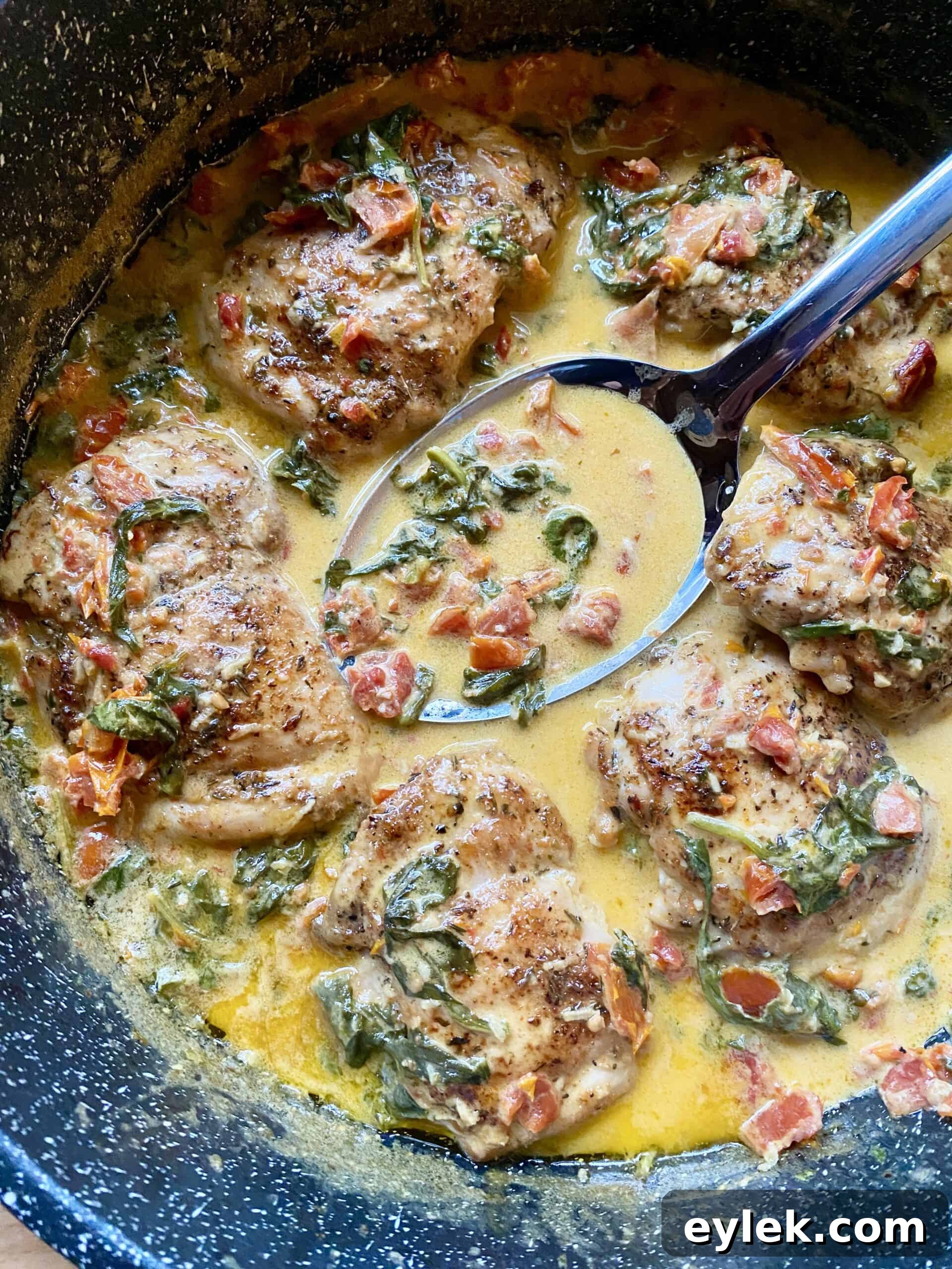 Tuscan Pan-Seared Chicken in Creamy Garlic Sauce 14 Chicken with Creamy Tuscan Pan Sauce