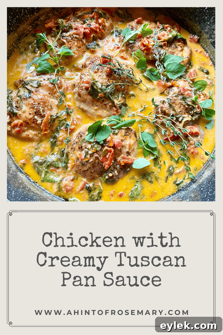 Tuscan Pan-Seared Chicken in Creamy Garlic Sauce 16 Chicken with Creamy Tuscan Pan Sauce