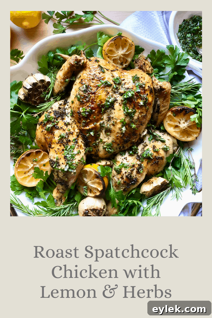 Tuscan Pan-Seared Chicken in Creamy Garlic Sauce 18 Roast Spatchcock Chicken with Lemon & Herbs