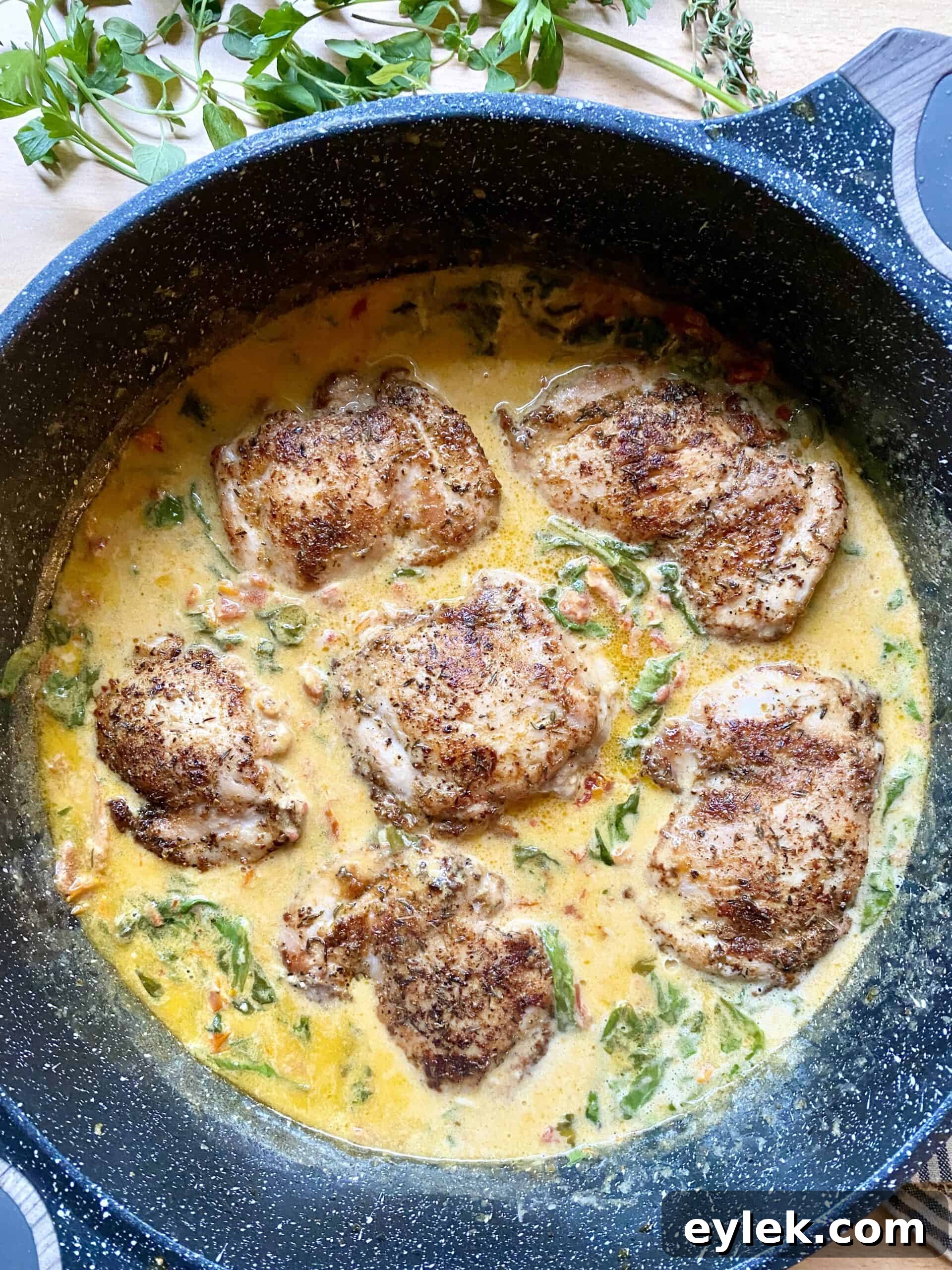 Tuscan Pan-Seared Chicken in Creamy Garlic Sauce 10 Chicken with Creamy Tuscan Pan Sauce