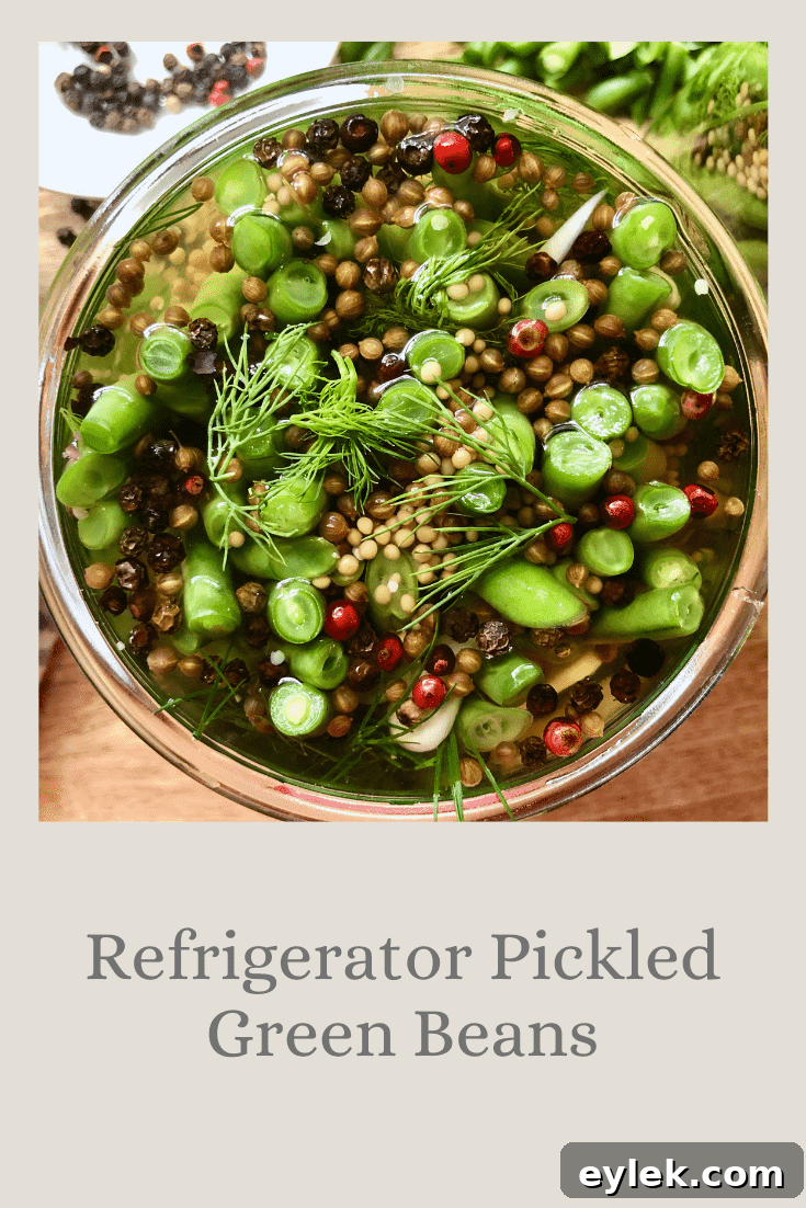 Refrigerator Pickled Green Beans