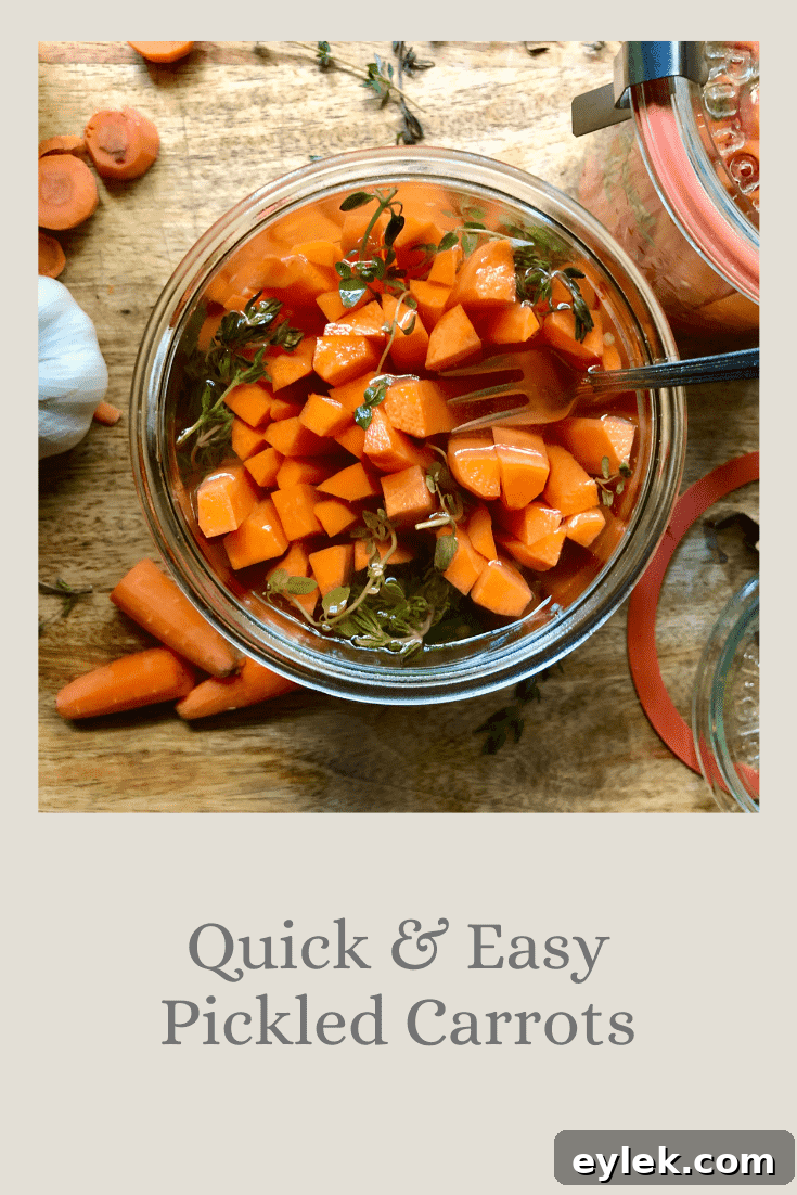 Quick & Easy Pickled Carrots