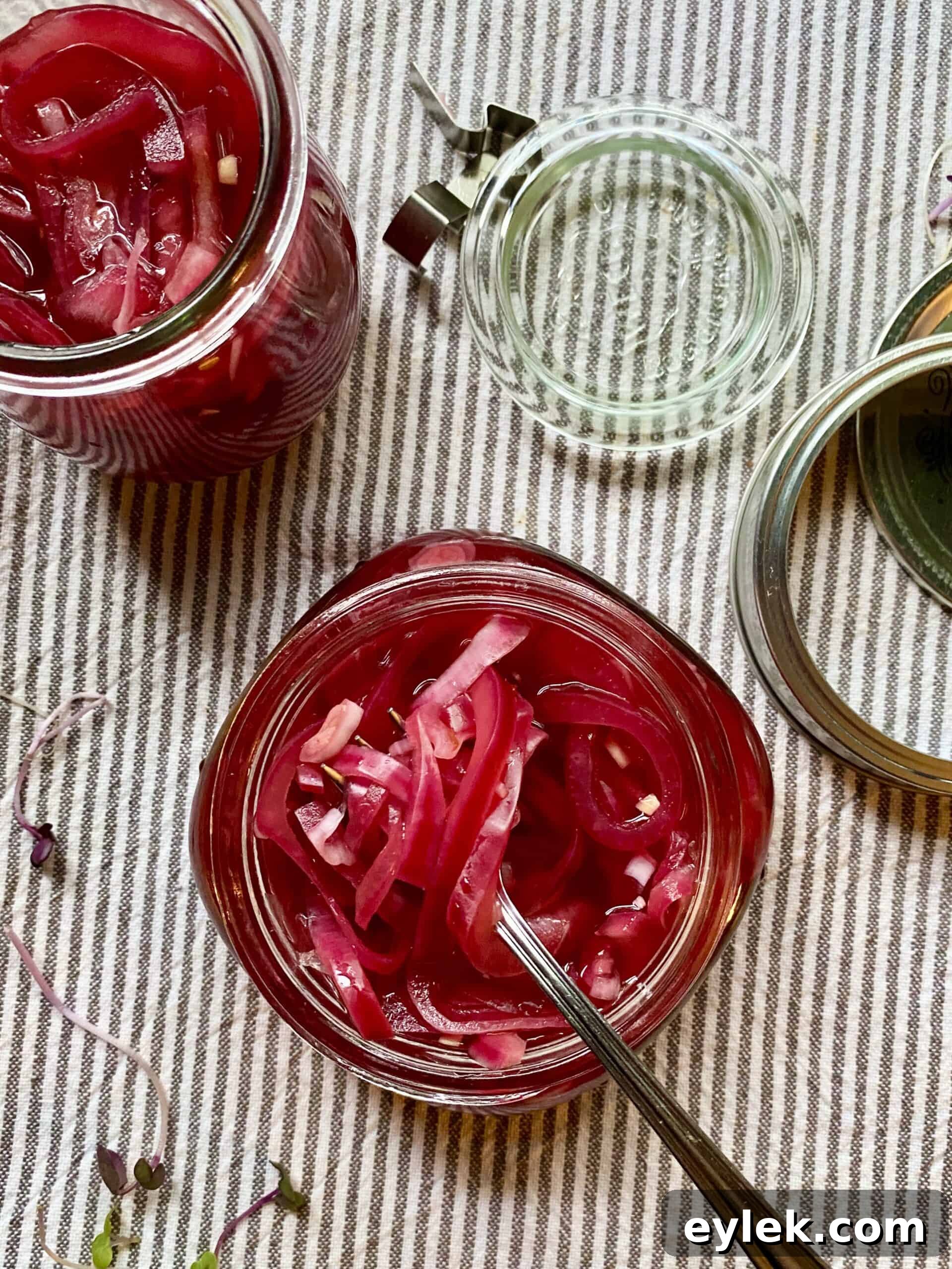 Flavorful Pickled Red Onions