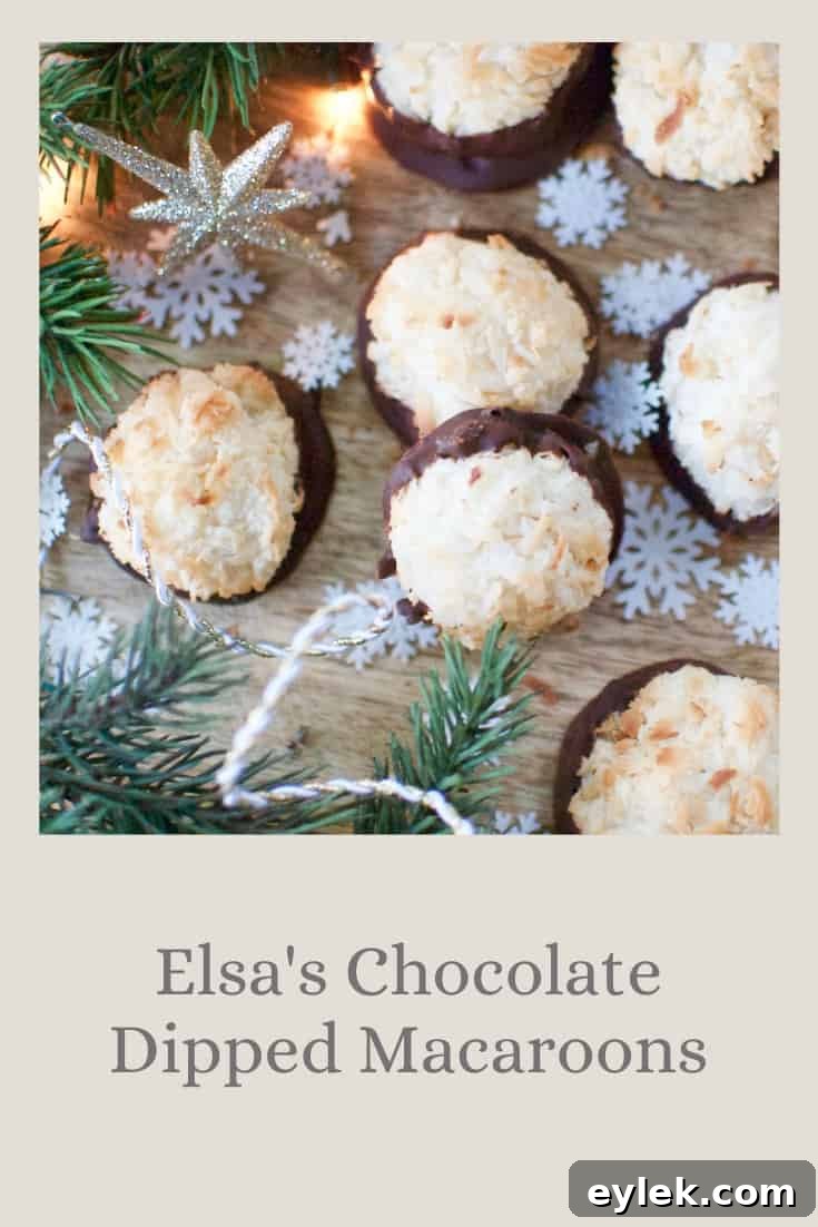 Elsa's Chocolate Dipped Macaroons