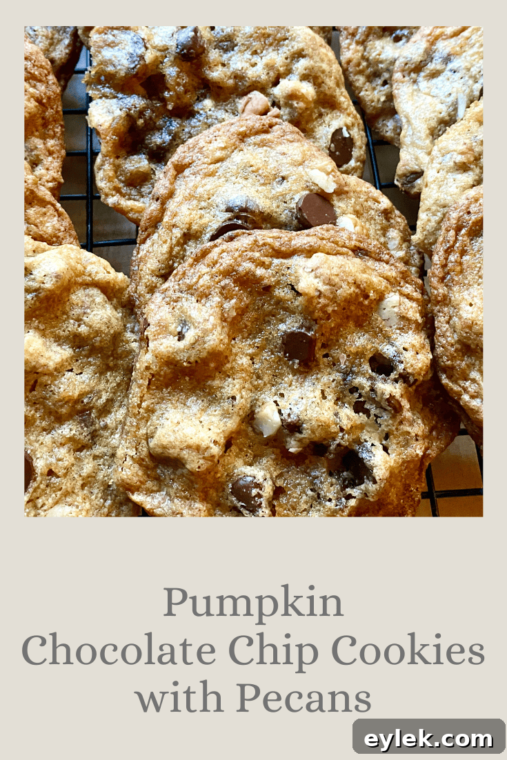 Pumpkin Chocolate Chip Cookies