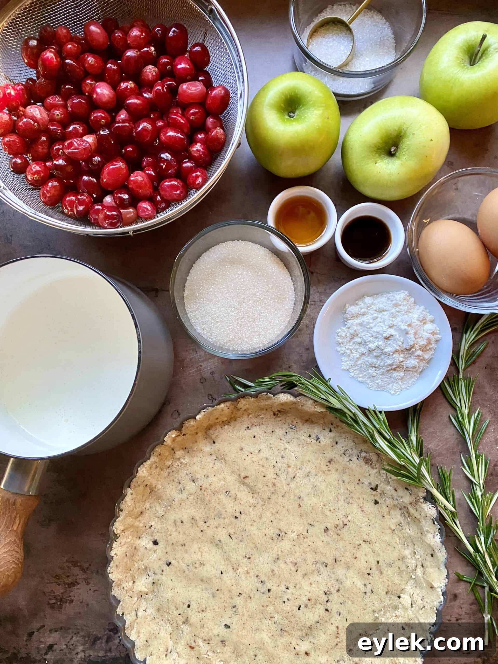 Apple & Cranberry Tart with Rosemary Custard