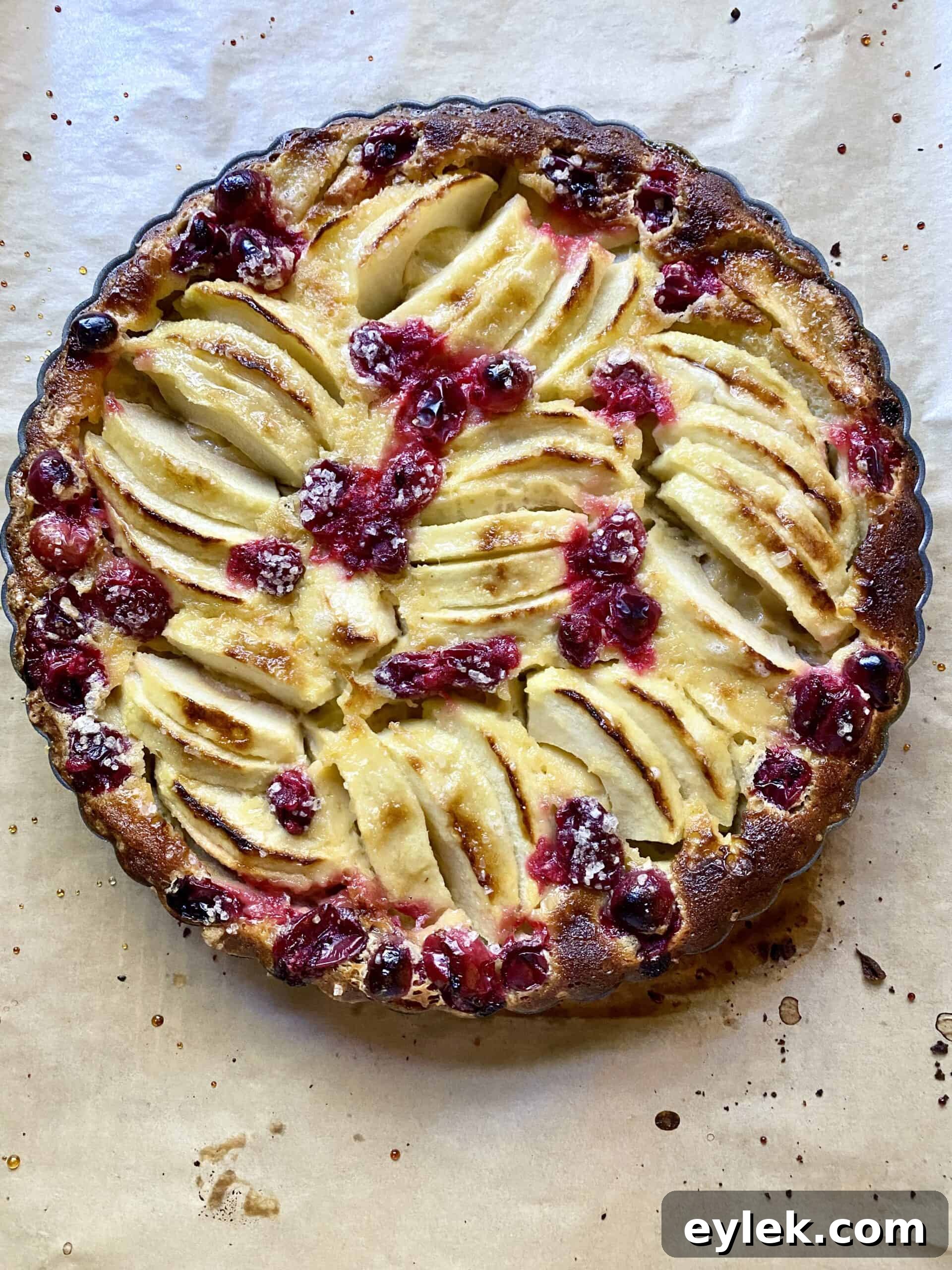 Apple & Cranberry Tart with Rosemary Custard