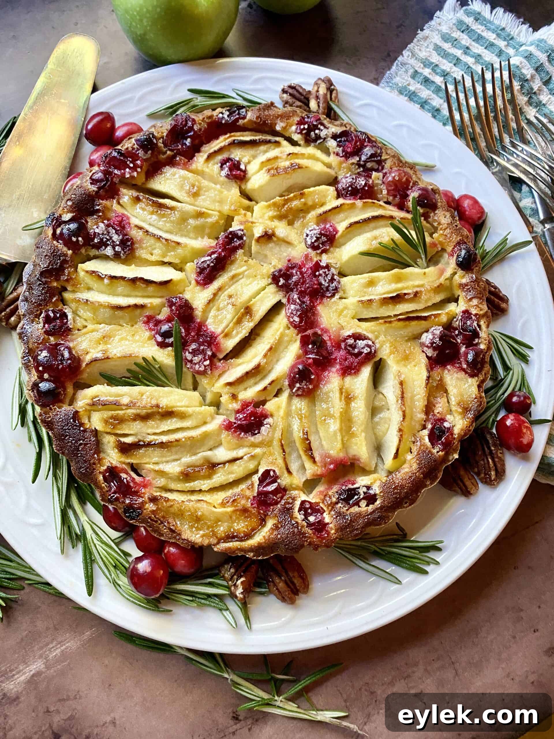 Apple & Cranberry Tart with Rosemary Custard